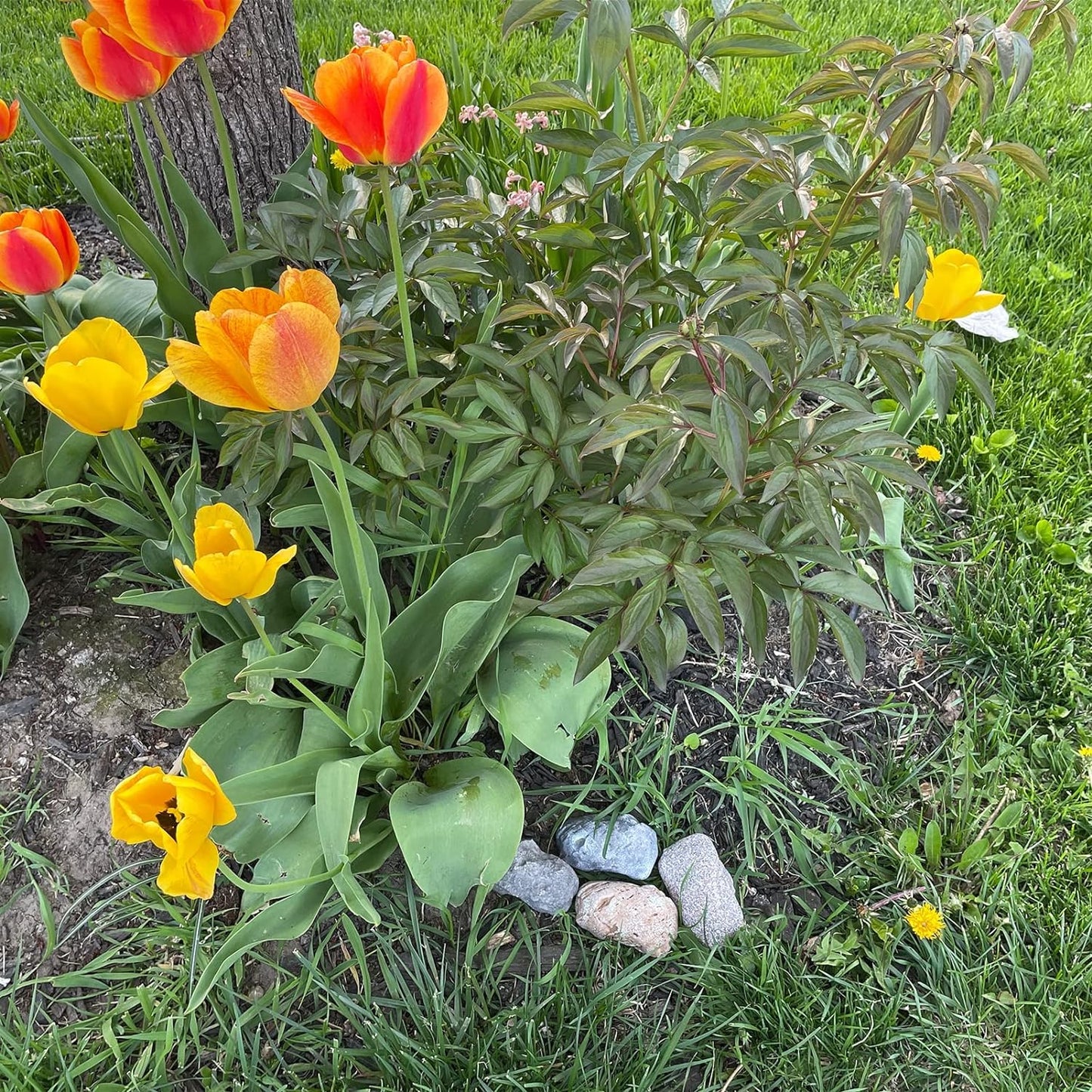 Piedra Falsa para Esconder Llaves al Aire Libre