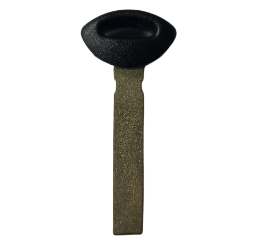 Llave Emergencia Mini Cooper