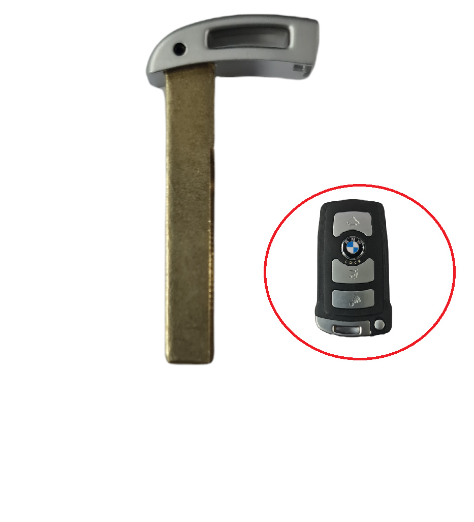 Llave Emergencia BMW CAS1